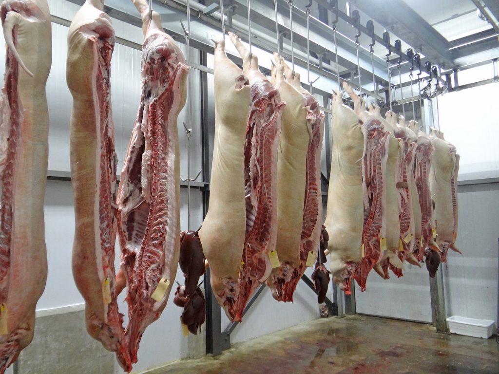 Abattoirs: Hanging pork for processing