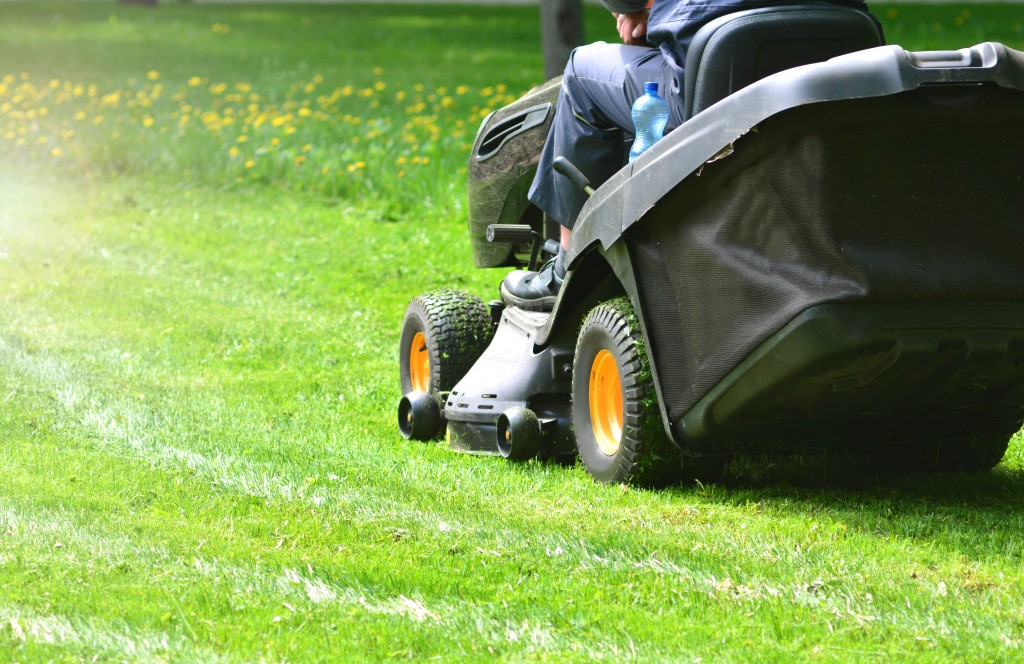 Common Lawn Pests and Ways to Get Rid of Them | The Earth Awards