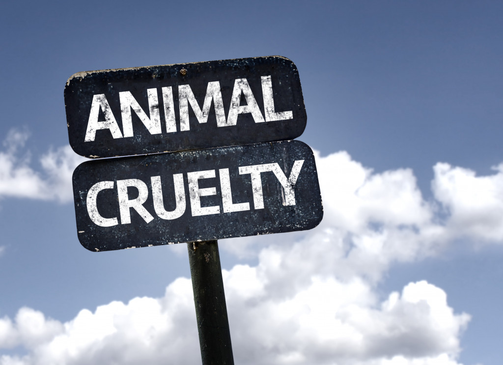 animal cruelty